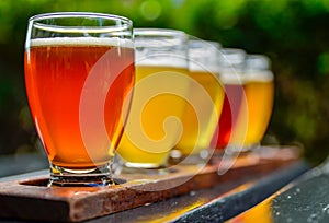 Craft beer tasting