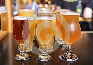 Craft Beer Tasting Flight