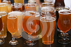 Craft Beer Tasting Flight