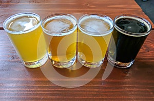 Craft Beer Tasting Flight Sample