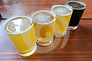Craft Beer Tasting Flight Sample