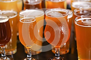 Craft Beer Tasting Flight