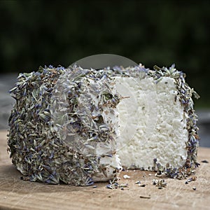 Craft cheese from cows and goats milk. Cheese head