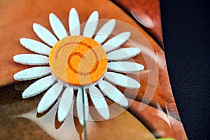 Craft Daisy Flower