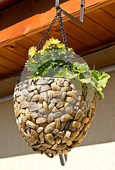 Craft flower pot