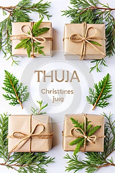 Craft gift boxes on a white background, thuja branches