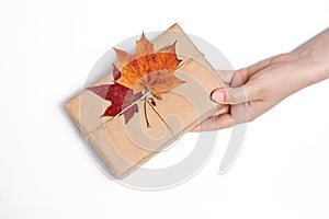 Craft gift in female hand, white background, autumn concept, two maple bright dry leaves, thanksgiving day