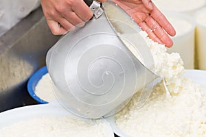 Craft making cheese