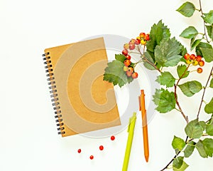 Craft notebook, hawthorn twigs and colored pens on a white background