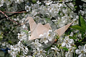 Craft origami paper crane on cherry blossom