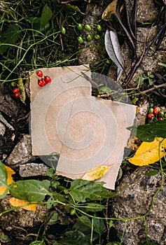Craft paper mockup template on the background of forest magic autumn nature