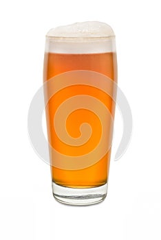 Craft Pub Glass with Beer 7