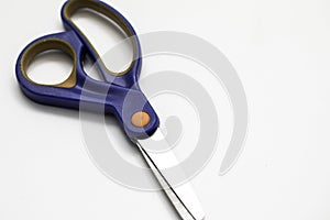 Craft Scissors