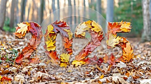 2025 crafted from vibrant autumn leaves in a serene forest setting, AI photo