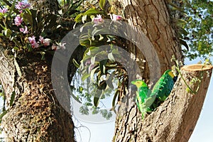 Crafts adorning the central park of a town in Colombia photo