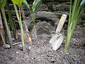 Craftsman tools on plant soil