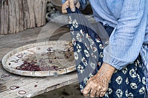 Craftsmen of Thai indigo cotton. An elderly woman is examining the thread made of cotton. Local Master are the original Indigo