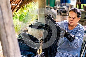 Craftsmen of Thai indigo cotton. Older women dyeing cotton with natural indigo. Local Master are the original Indigo Cotton