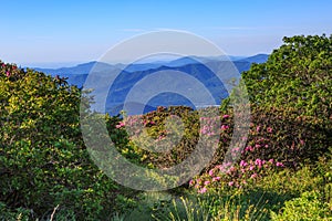 Craggy Gardens View of NC Blue Ridge Mountains