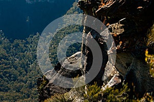 Craggy Mountainside Over the Forest