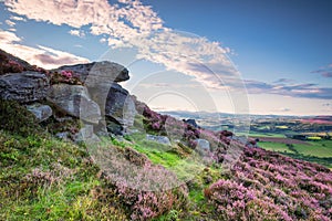 Crags and Heather on Simonside Hills