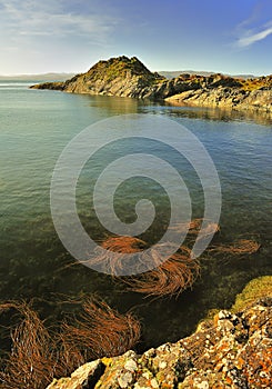 Craignish point, Argyll, Scotland