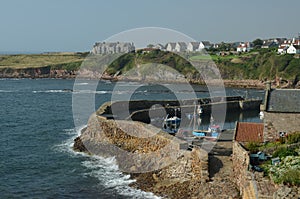 Crail Harbour