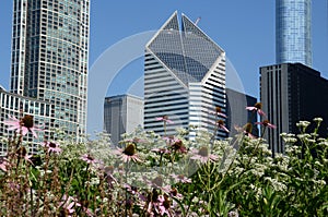 Crain Communication building, Chicago