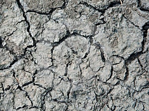 Craked dry soil texture background