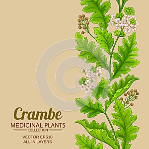 crambe pattern on color background
