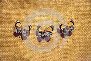 Cramer`s eighty-eight butterfly Diaethria clymena photo