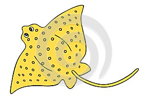 Cramp-fish. Marine cartilaginous fish with a long tail and wings. Vector illustration.