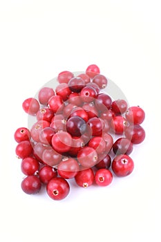 Cranberries photo