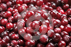 Cranberries photo