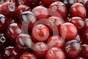 Cranberries