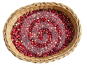 Cranberries