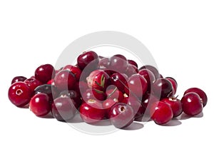 Cranberries