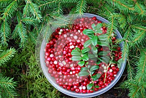 Cranberries