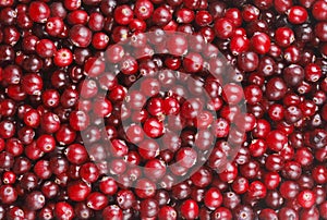 Cranberries