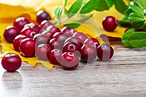 Cranberries and autumn maple leaves on a wooden brown background. Autumn vitamins. Prevention of seasonal flu, coronavirus and
