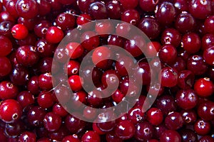 Cranberries background