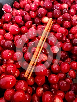 Cranberries and cinnamon stick