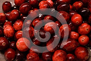 Cranberries close-up