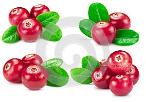 Cranberries collection isolated