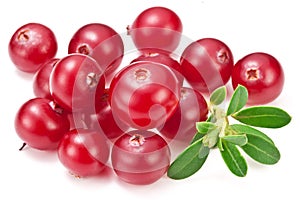 Cranberries and cranberry leaves isolated on white background
