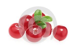 Cranberries isolated on white background