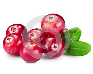 Cranberries photo