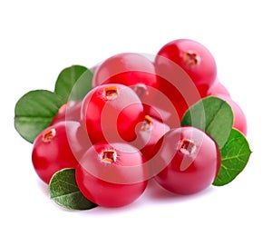 Cranberries with leafs