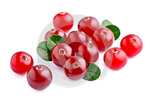 Cranberries with leafs .