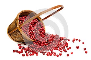 Cranberries spilling from wooden Basket